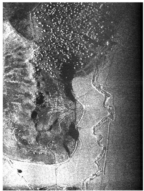 A sample 2D YINSAR image with 1 × 1m resolution shows a vegetated hill surrounded by fields with a creek running through them.